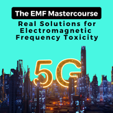 The EMF Mastercourse: Real Solutions for EMF Toxicity