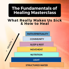 The Fundamentals of Healing Masterclass: What Really Makes Us Sick & How to Heal